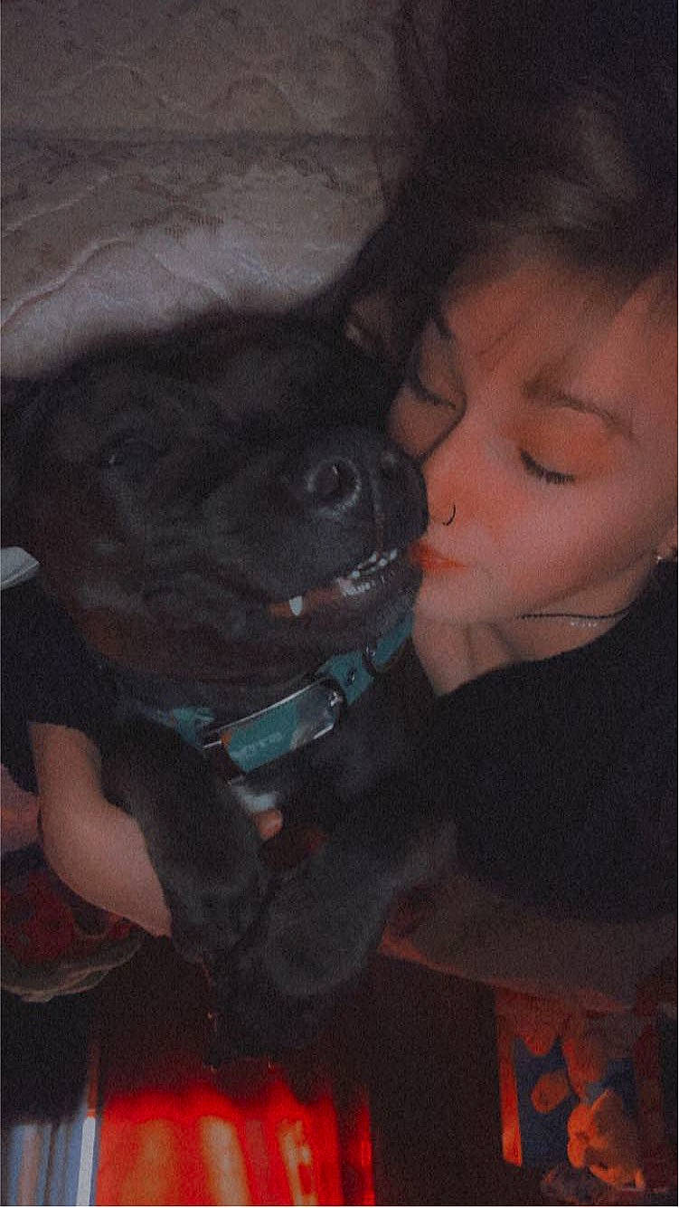 Roseabell joined the competition — help win amazing prizes! black_hair, canidae, carnivore, child, companion_dog, darkness, dog, dog_breed, ear, fawn, fun, fur, guard_dog, happy, kiss, sitting, snout, sporting_group, whiskers, working_animal