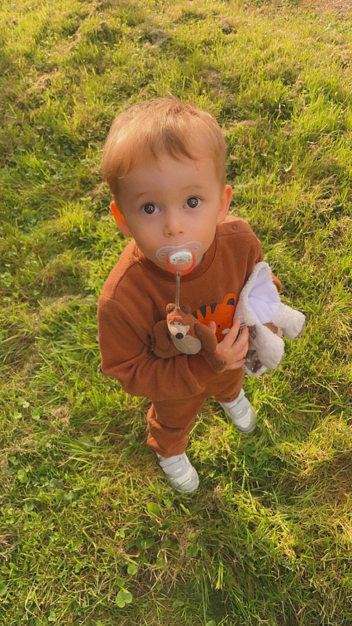 Sasha participe au concours pour gagner de l'argent avec cette photo : baby, baby_toddler_clothing, botany, child, eye, fun, garden, grass, grass_family, grassland, groundcover, happy, lawn, people_in_nature, person, plant, sitting, soil, toddler, tree