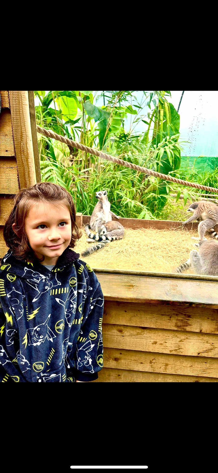 Erik joined the competition — help win amazing prizes! child, smiling, hoodie, pikachu, animal, lemur, glass, wooden_fence, greenery, zoo, nature, outdoor, portrait, young, mammal, fur, face, casual_clothing, curious, daylight