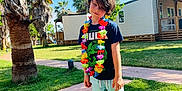Erik joined the competition — help win amazing prizes! child, boy, barefoot, grass, lei, tshirt, shorts, outdoor, sunny, daytime, palm_tree, cabin, greenery, smile, casual_clothing, nature, summer, vacation, portrait, happy