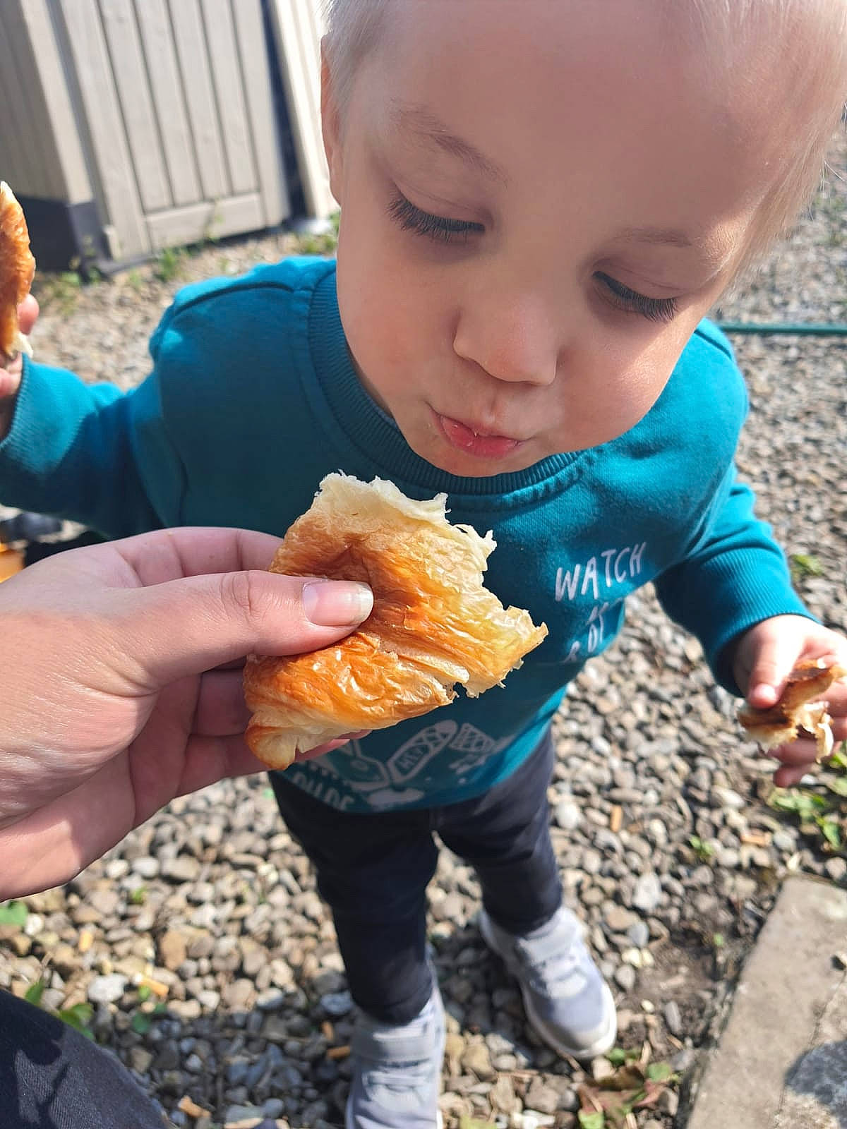 Harvey is registered to the contest to win money with this photo: baby, biting, child, comfort_food, cooking, cuisine, dish, eating, fast_food, finger, finger_food, food, food_craving, hand, junk_food, people_in_nature, person, soil, thumb, toddler