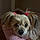 Molly