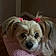 Molly