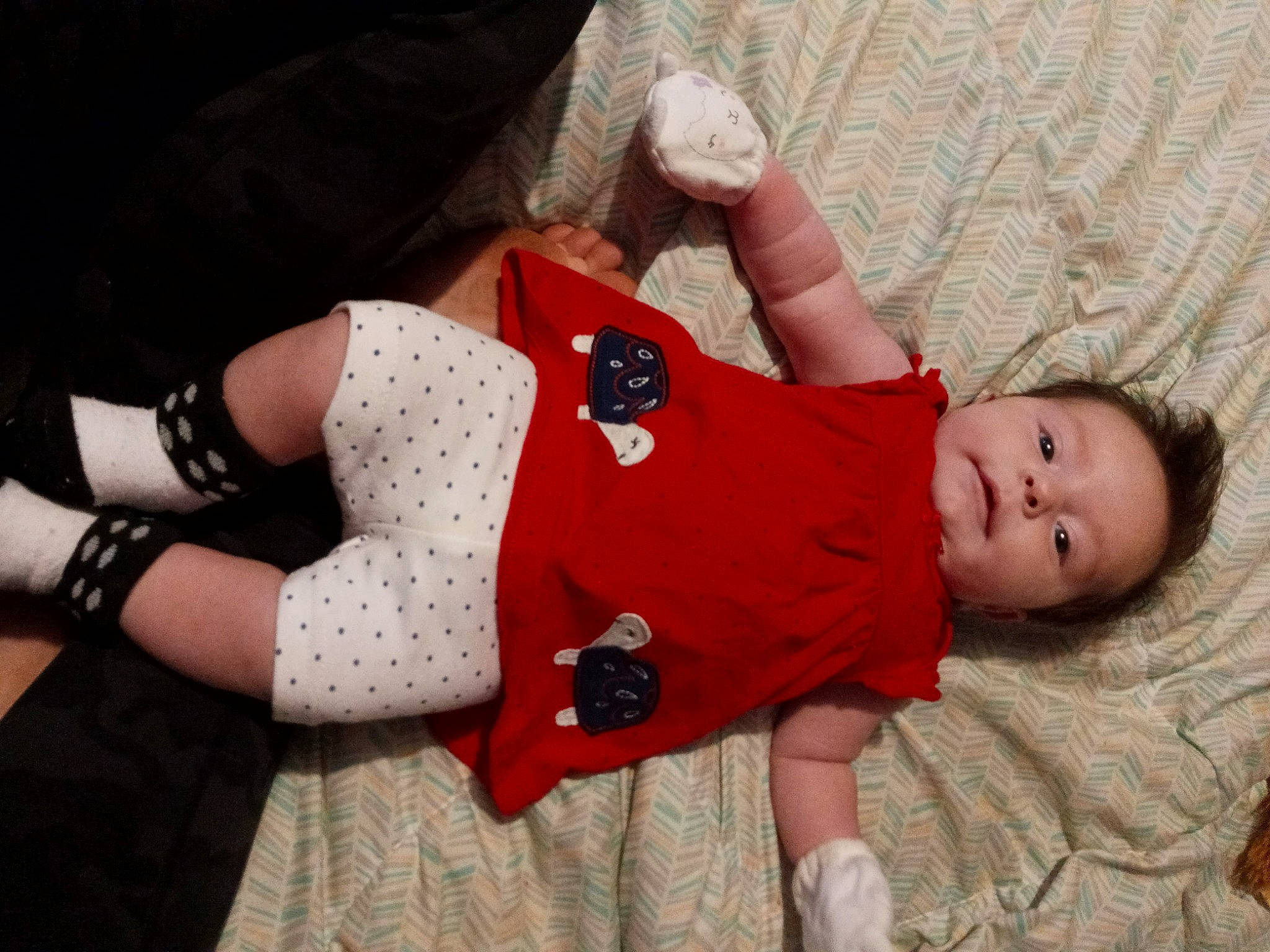 Shiloh joined the competition — help win amazing prizes! arm, baby, baby_toddler_clothing, child, comfort, elbow, face, finger, fun, gesture, hand, human_body, human_leg, joint, knee, leg, person, sleeve, thigh, toddler