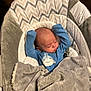 baby, baby_rocker, blanket, blue_onesie, child, cozy, cushion, cute, face, head, indoor, infant, newborn, peaceful, resting, shark_design, sleep, sleeping, small_arms, soft_texture