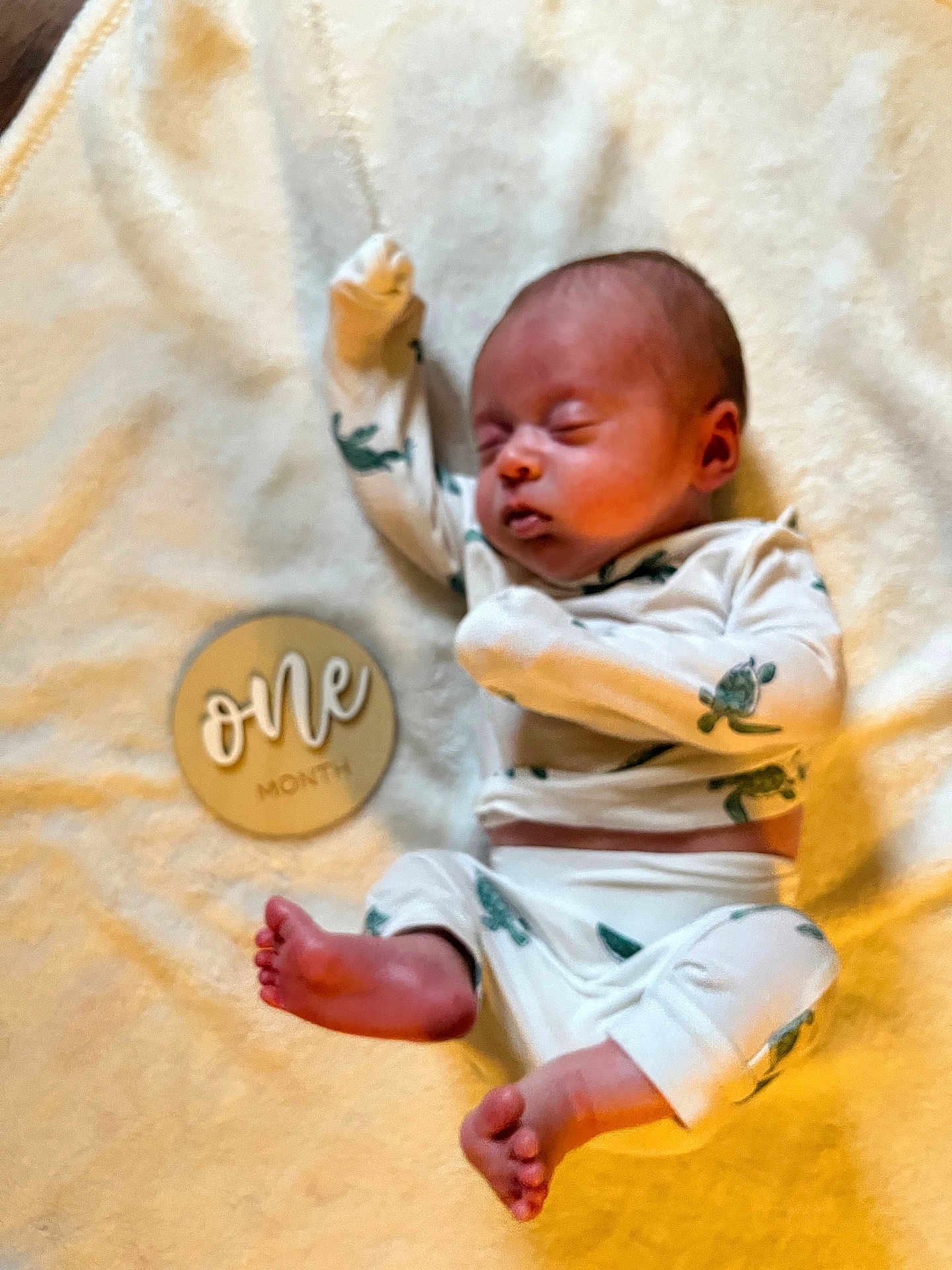 Dawson is registered to the contest to win money with this photo: baby, newborn, sleeping, infant, blanket, clothing, turtle_pattern, plaque, milestone, one_month, peaceful, cute, feet, hands, soft, portrait, indoors, child, person, sleep