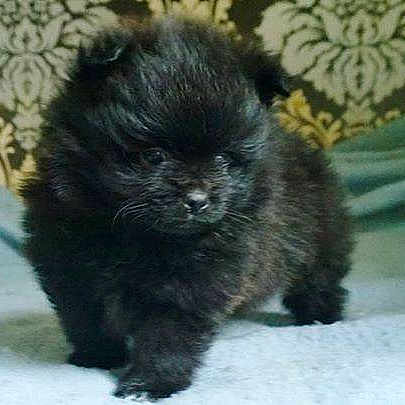 Keiko