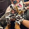 Delilah joined the competition — help win amazing prizes! baby, infant, sleeping, pacifier, cow_print, costume, bow, plush_toy, boots, bib, seated, adult, indoor, auditorium, chairs, audience, portrait, child, clothing, cute