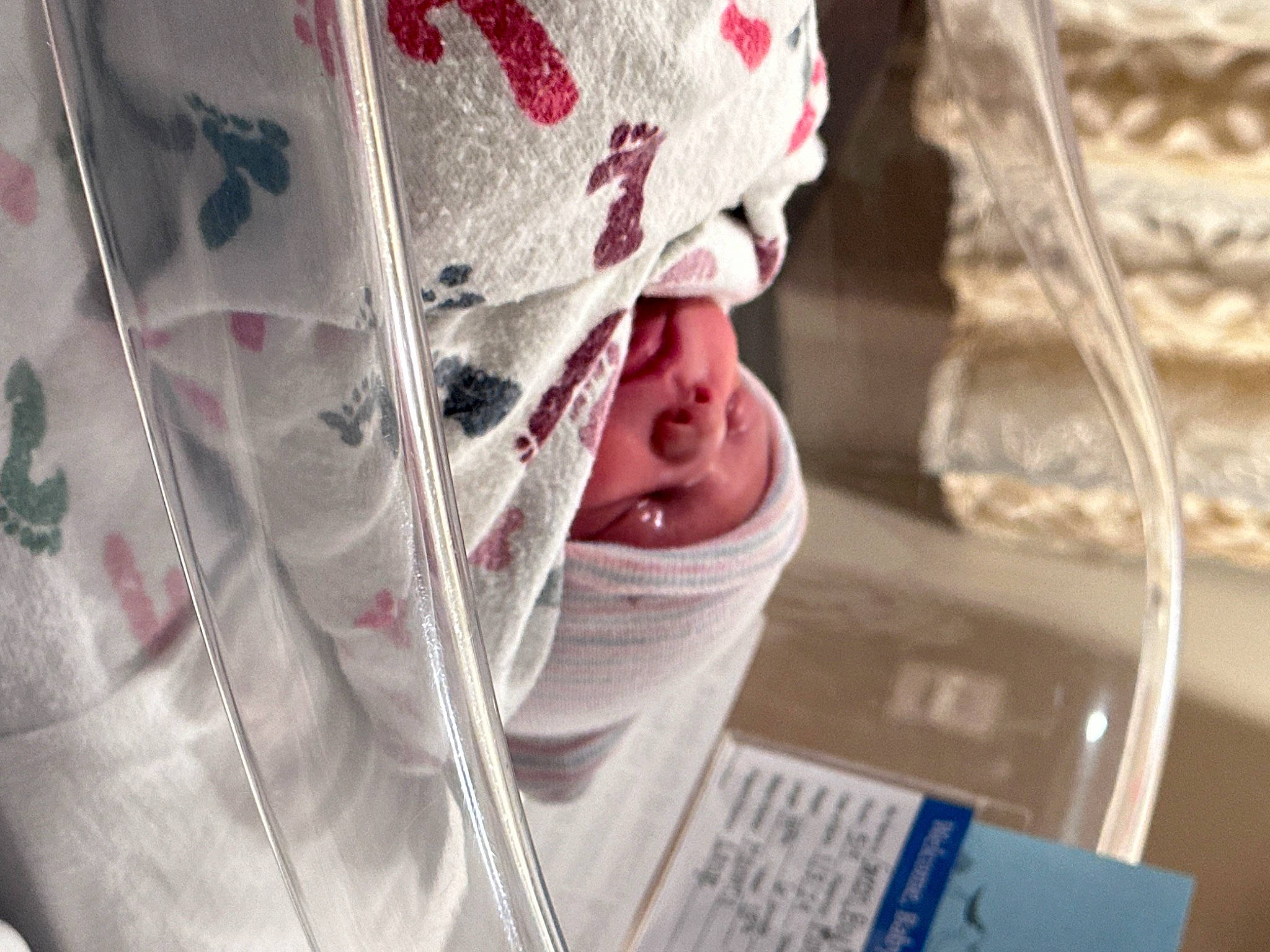 Logan joined the competition — help win amazing prizes! banknote, carmine, cash, close_up, comfort, currency, fashion_accessory, flesh, hat, linens, magenta, money, money_handling, paper, paper_product, pattern, peach, person, sleeve, textile