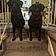 Bailey And Brody