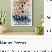 Peewee is registered to the contest to win money with this photo: dog, small_dog, illustration, framed_picture, blue_cloth, green_wall, plant, potted_plant, wooden_surface, text, webpage, screenshot, digital_screen, decor, animal_portrait, tan_dog, pet, indoor, artwork, blur