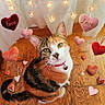 cat, calico_cat, pet, animal, feline, portrait, sitting, indoors, wooden_floor, heart_decorations, fairy_lights, love_theme, pink_hearts, red_hearts, collar, bell, whiskers, pointed_ears, curious_expression, festive