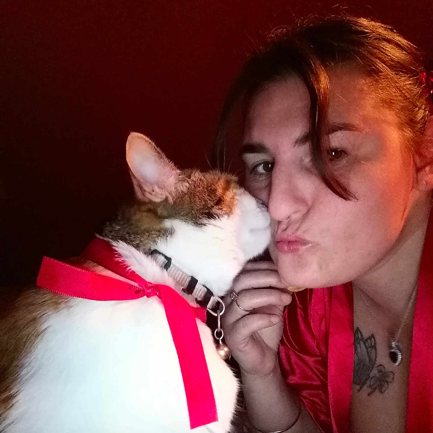 Noisette a rejoint le concours — aidez-le/la à gagner de superbes lots ! cat, woman, person, pet, portrait, selfie, kiss, affection, ribbon, pink_ribbon, collar, bell, whiskers, white_fur, tabby, red_clothing, tattoo, indoor, closeup, humor