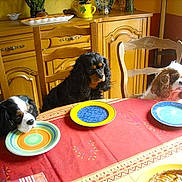 Aileen a rejoint le concours — aidez-le/la à gagner de superbes lots !