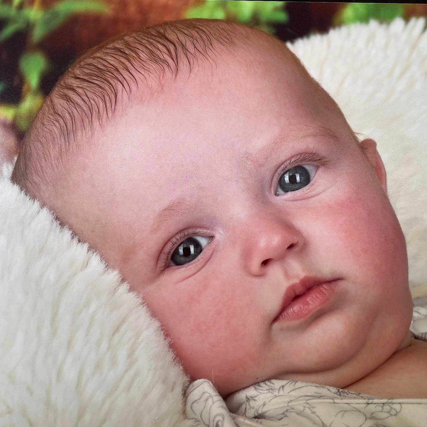 Maël participe au concours pour gagner de l'argent avec cette photo : baby, blanket, child, chubby_cheeks, close_up, clothing, cute, expression, eyes, face, head, indoor, infant, newborn, peaceful, portrait, resting, skin, soft, young