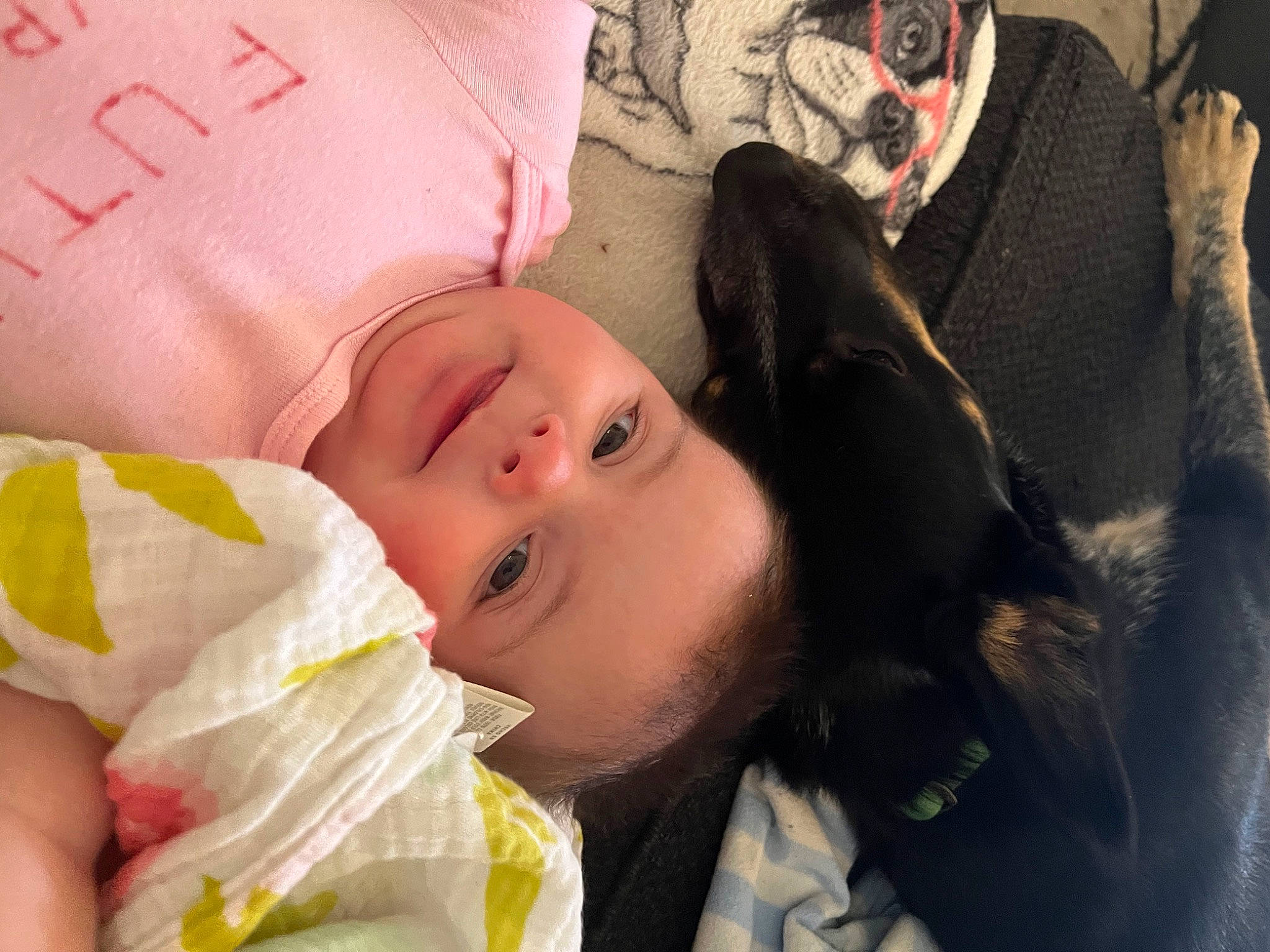 Harper is registered to the contest to win money with this photo: baby_toddler_clothing, cheek, child, comfort, eye, eyebrow, eyelash, fur, happy, head, linens, lip, person, portrait_photography, skin, sleep, toddler