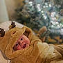 baby, child, costume, reindeer, smile, face, cute, holiday, christmas_tree, blurred_background, soft_texture, warm_lighting, indoors, festive, hood, fur, lying_down, happy, infant, seasonal