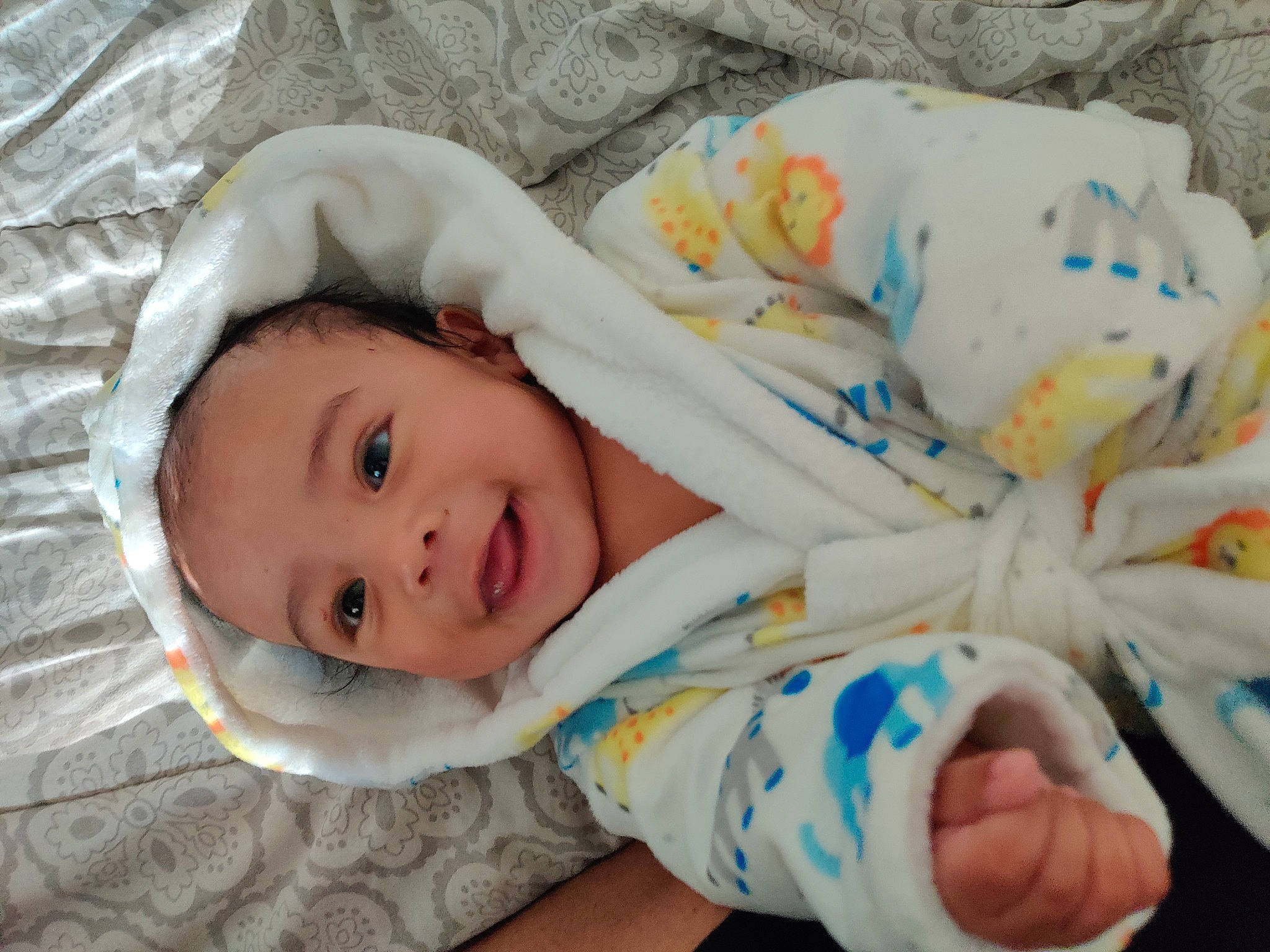 Maxwell joined the competition — help win amazing prizes! baby, baby_toddler_clothing, cheek, child, comfort, eye, face, facial_expression, finger, hand, happy, head, human_body, joy, nose, person, skin, smile, toddler, tree