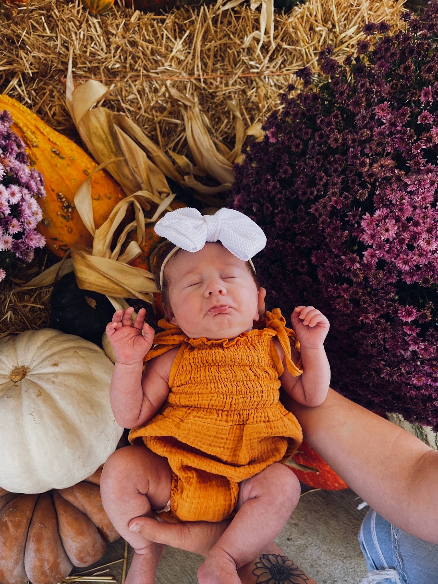 Kodee is registered to the contest to win money with this photo: baby, baby_toddler_clothing, calabaza, cap, child, fawn, fun, gourd, grass, happy, head, headwear, leaf, people_in_nature, person, plant, pumpkin, sitting, toddler, tree