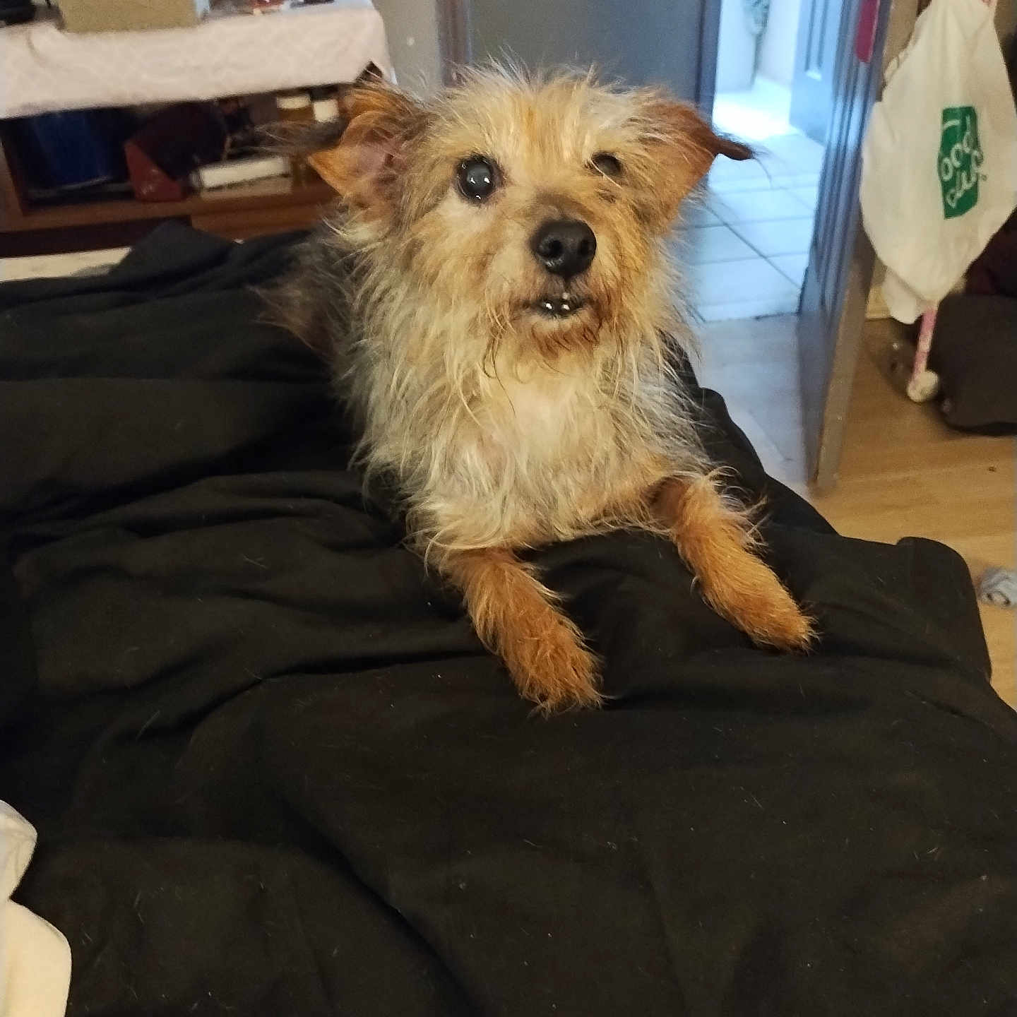 Coco
