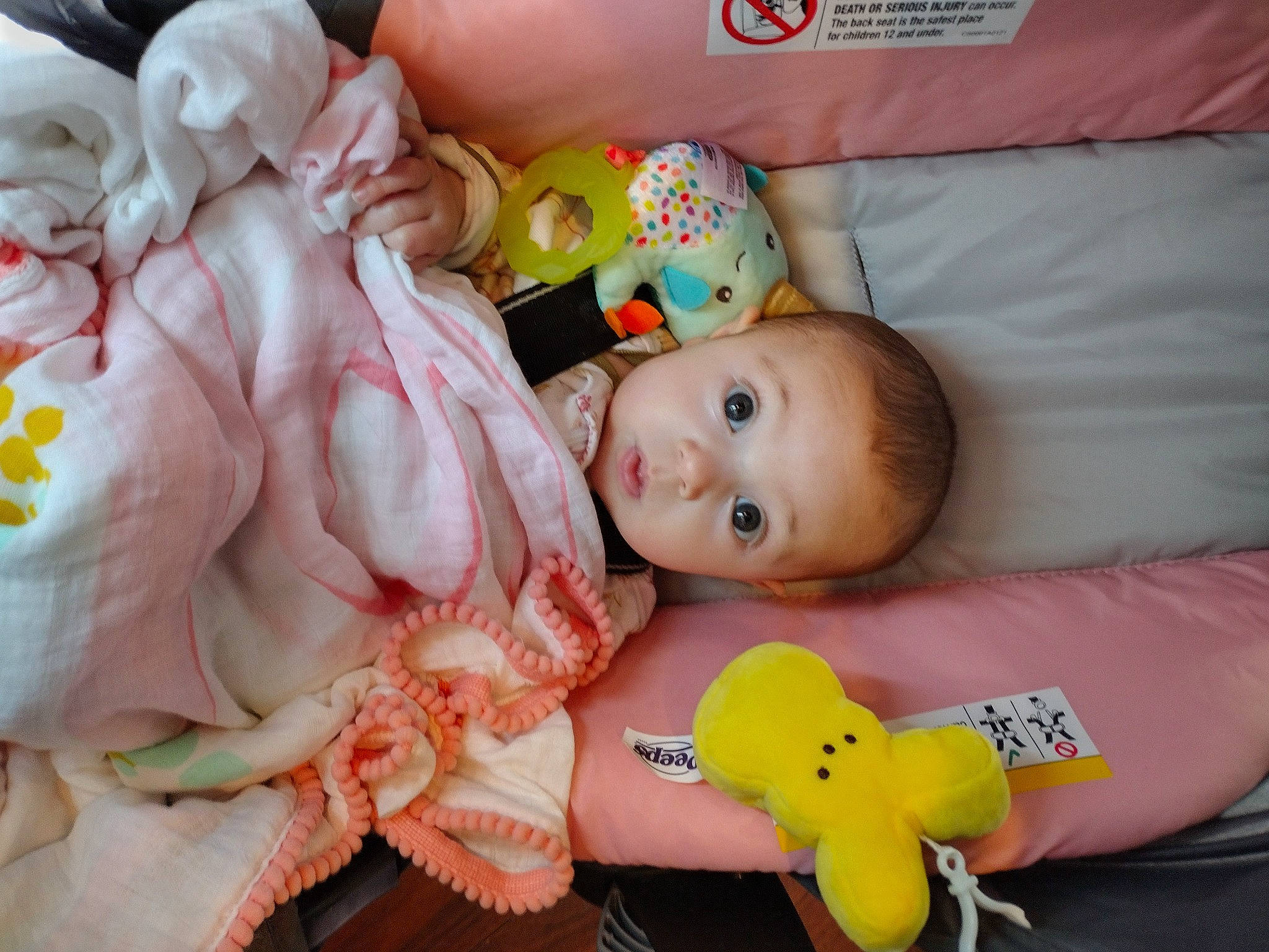 Bella is registered to the contest to win money with this photo: baby, baby_products, baby_toddler_clothing, baby_toys, cheek, comfort, event, eye, face, fun, happy, head, linens, nose, person, skin, smile, stuffed_toy, surprise, toddler