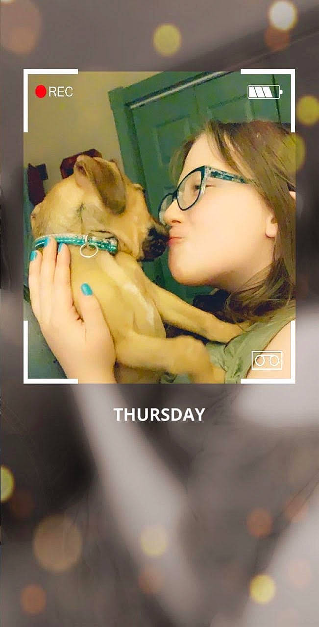 Peanut is registered to the contest to win money with this photo: abdomen, carnivore, chest, companion_dog, dog, dog_breed, eyewear, fawn, flash_photography, fun, gesture, glasses, happy, leisure, mouth, photo_caption, snapshot, sporting_group, toy, vision_care