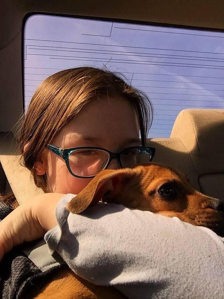 Peanut joined the competition — help win amazing prizes! canidae, carnivore, comfort, companion_dog, dog, dog_breed, ear, eyelash, eyewear, fawn, glasses, happy, nose, selfie, sitting, snout, sporting_group, vision_care, whiskers, window