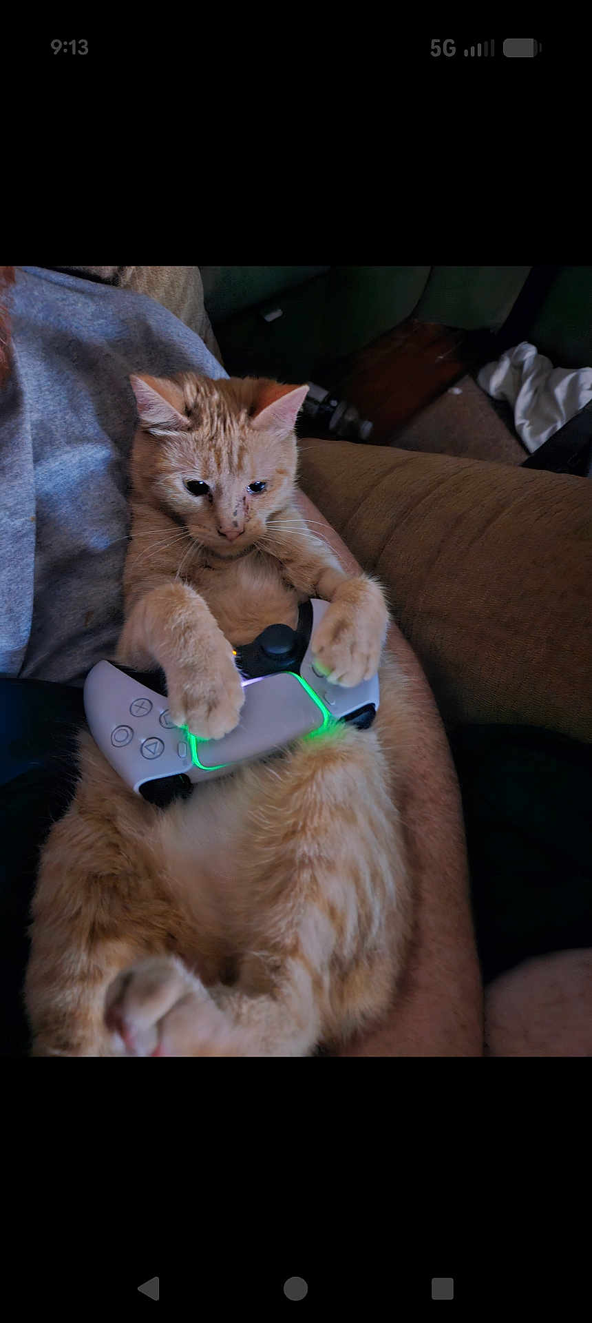 Tim joined the competition — help win amazing prizes! cat, orange_tabby, video_game_controller, gaming, indoor, pet, relaxed, couch, person_arm, technology, playstation_controller, close_up, cute, feline, animal, paw, light_glow, comfortable, funny, home