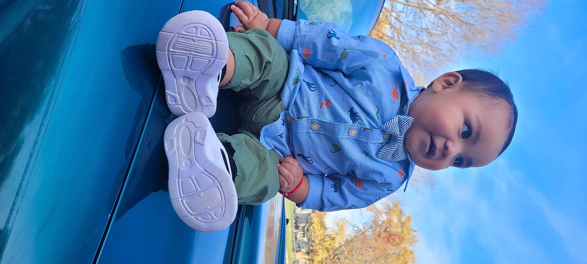 Bradley joined the competition — help win amazing prizes! blue, child, electric_blue, fun, glove, hand, happy, hat, human_body, leisure, organ, person, photograph, plant, sitting, snapshot, sports_gear, toddler, tree, white