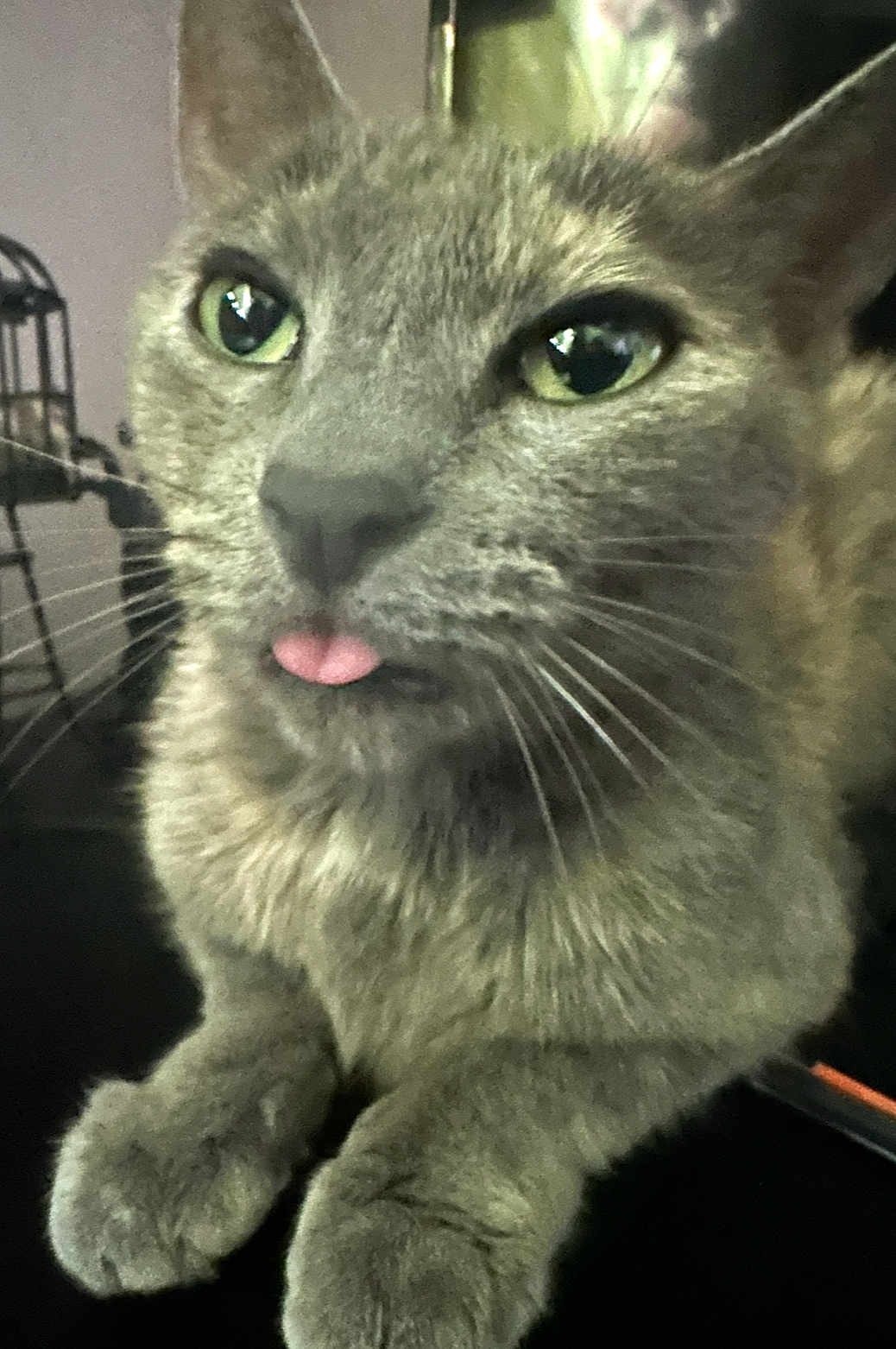 Luna