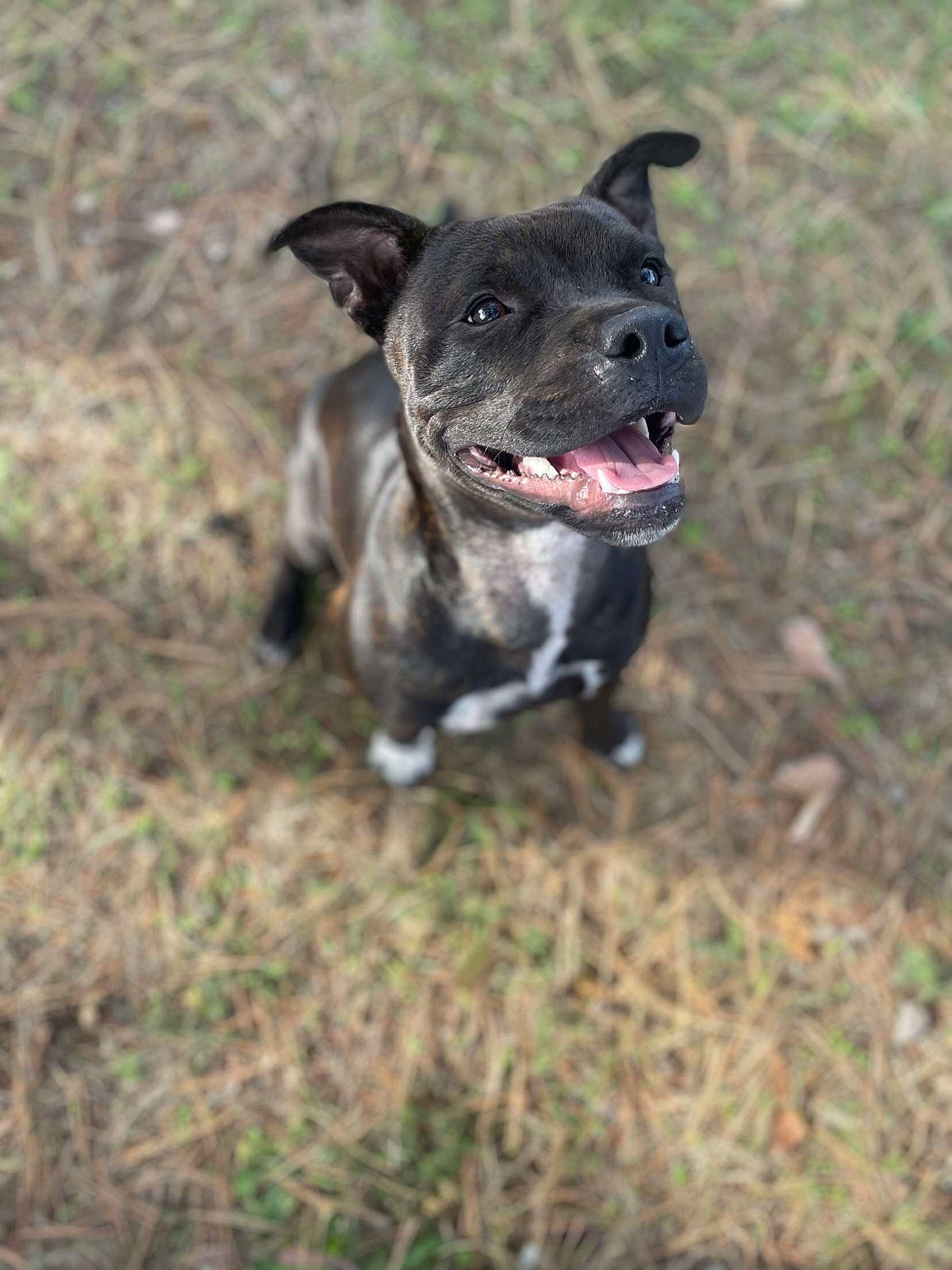 Tina