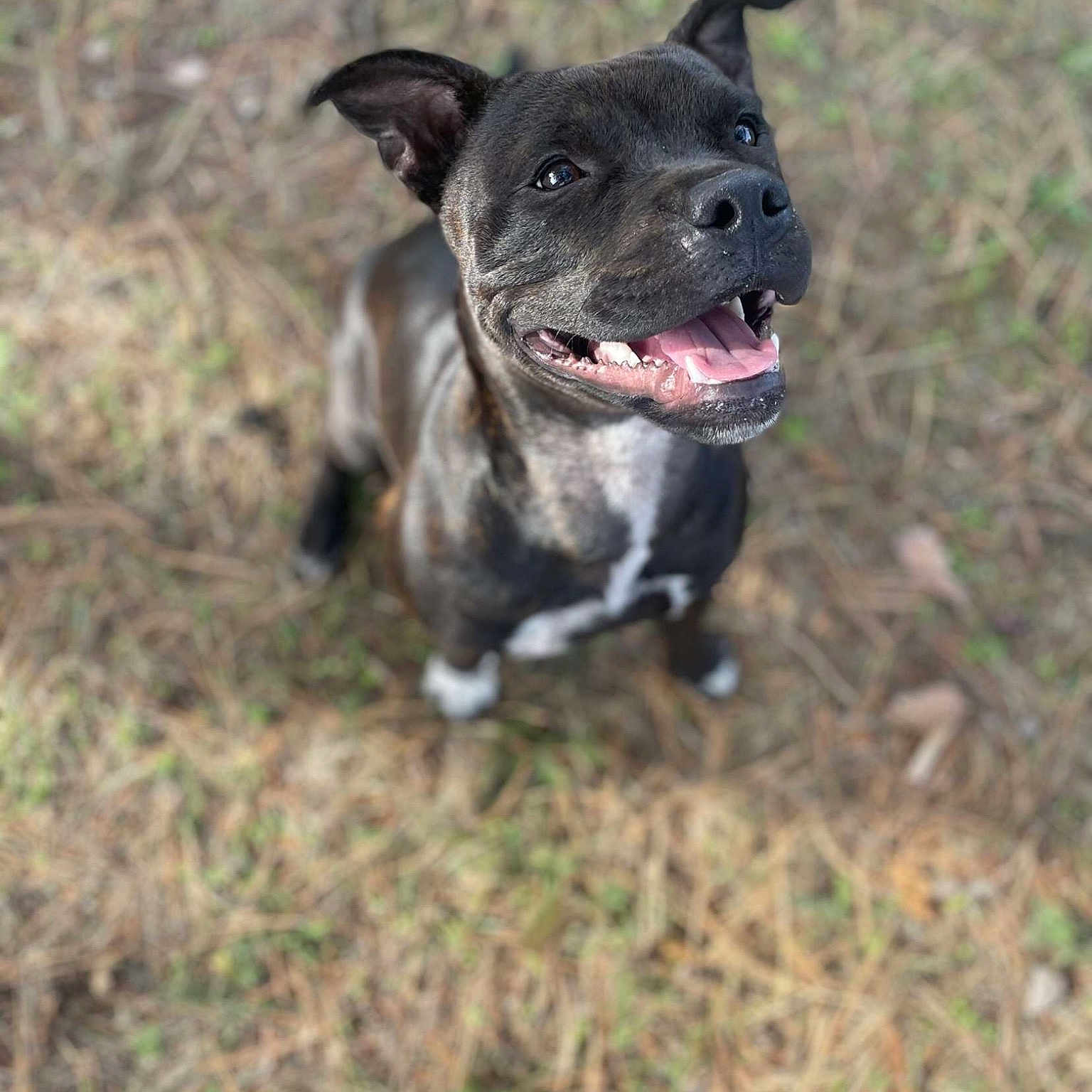 Tina