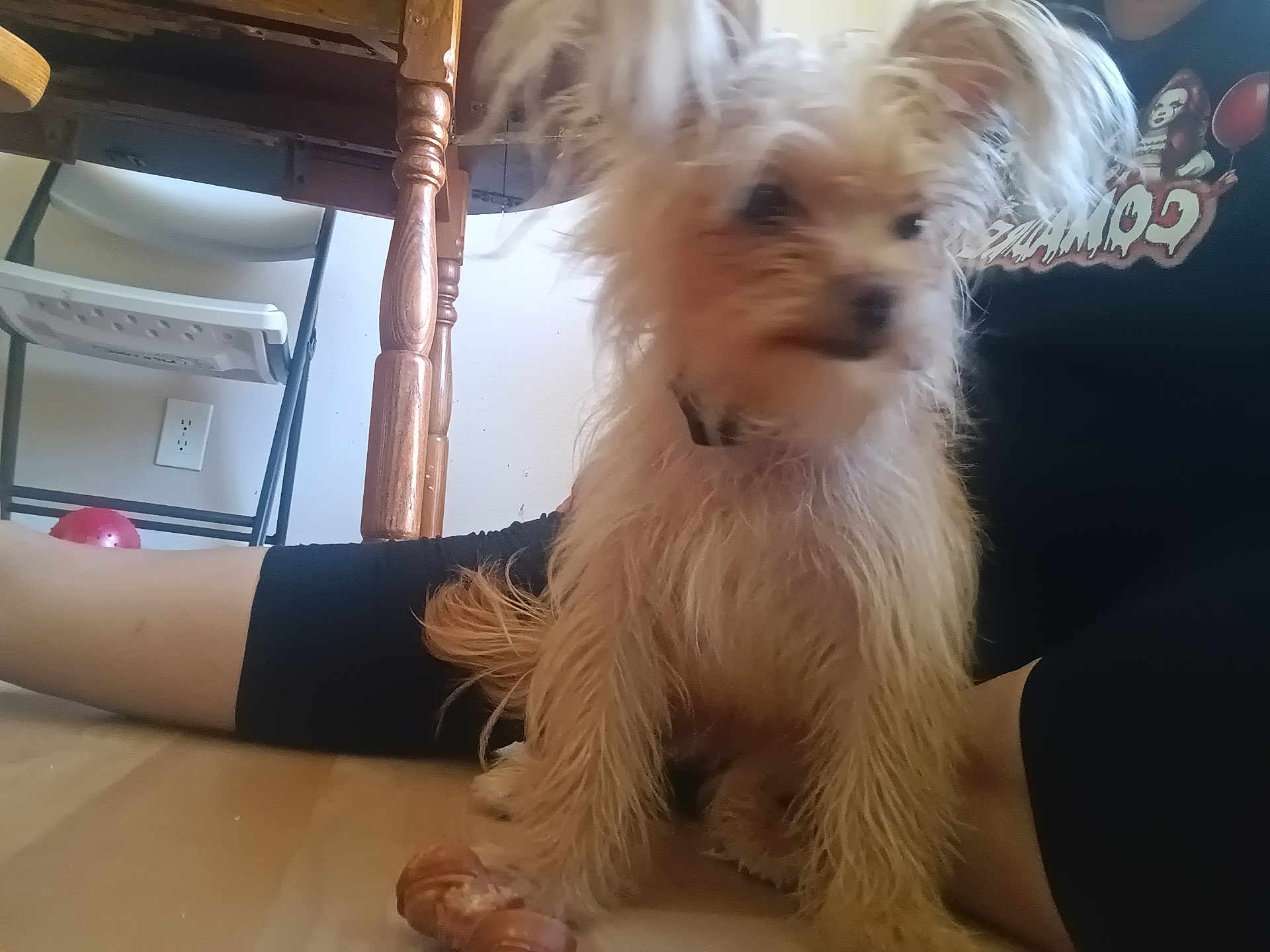 Chloe