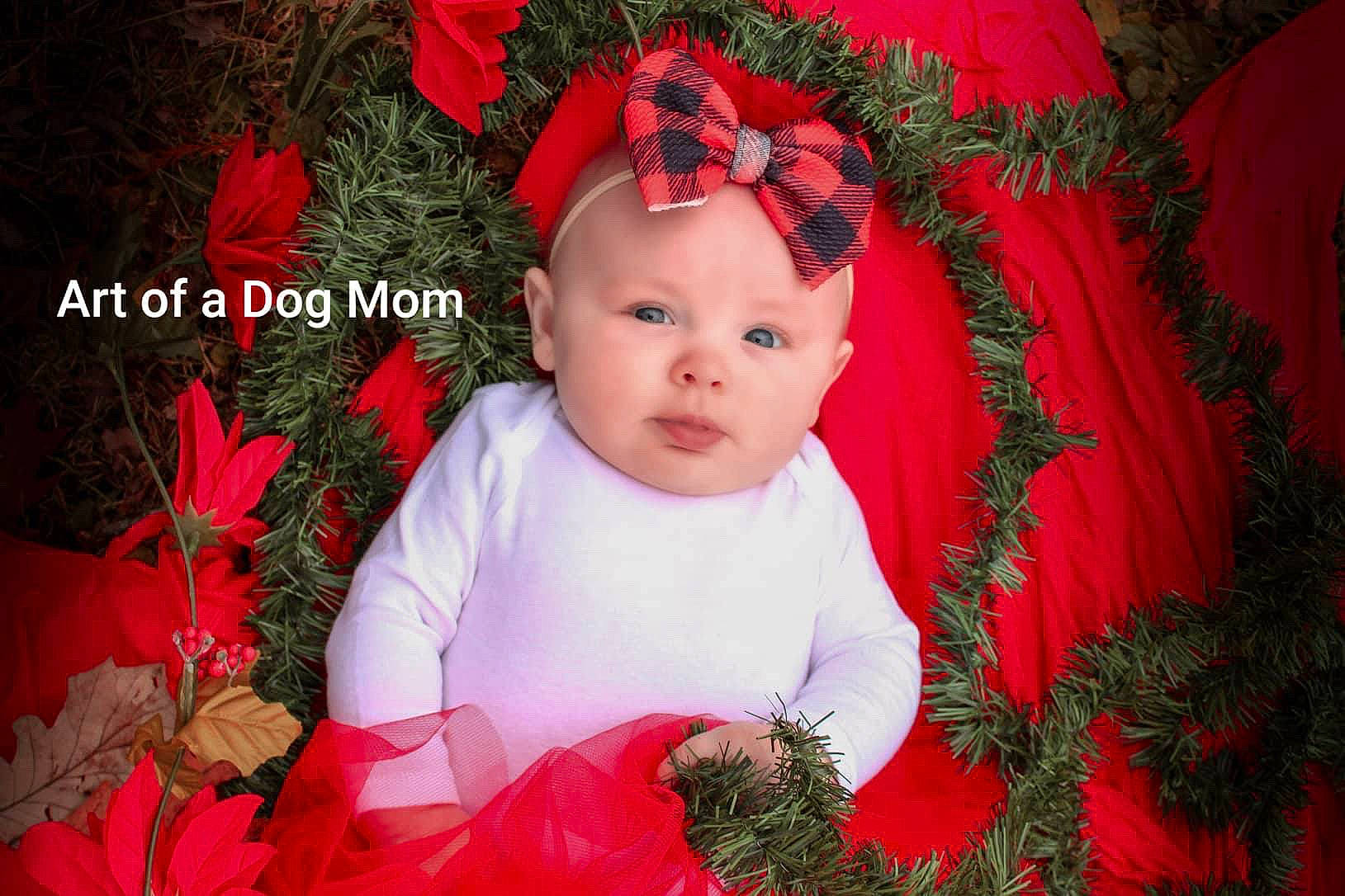 Scarlett is registered to the contest to win money with this photo: baby, child, christmas, christmas_decoration, christmas_eve, christmas_ornament, hair_accessory, holiday, interior_design, person, photography, plant, red, smile, toddler, tradition
