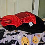 black_cat, sleeping, costume, devil_horns, red_clothing, blanket, halloween_theme, pumpkins, bats, cats, stars, indoor, door, resting, pet, animal, cute, holiday, cozy, feline