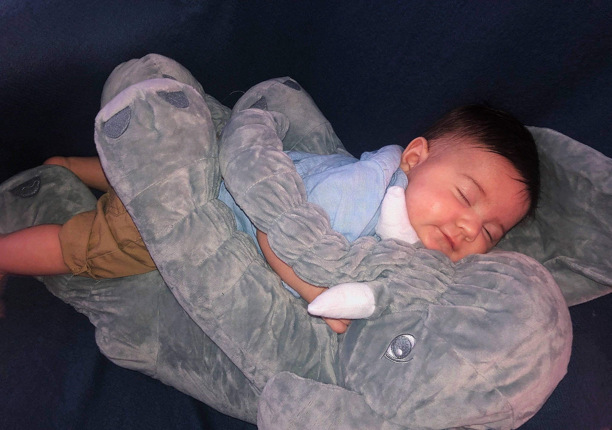 Clifford joined the competition — help win amazing prizes! arm, baby, child, comfort, leg, nap, person, sleep, toddler