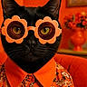 cat, black_cat, glasses, orange, flower_shaped_glasses, floral_shirt, pet, portrait, animal, indoor, close_up, fashion, cute, whiskers, face, orange_background, orange_furniture, vintage_style, stylish, feline