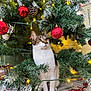 cat, christmas_tree, ornament, red_ball, pine_cone, christmas_lights, greenery, holiday, decorations, festive, indoor, pet, cute, white_paws, tabby, curious, sitting, blanket, winter, celebration