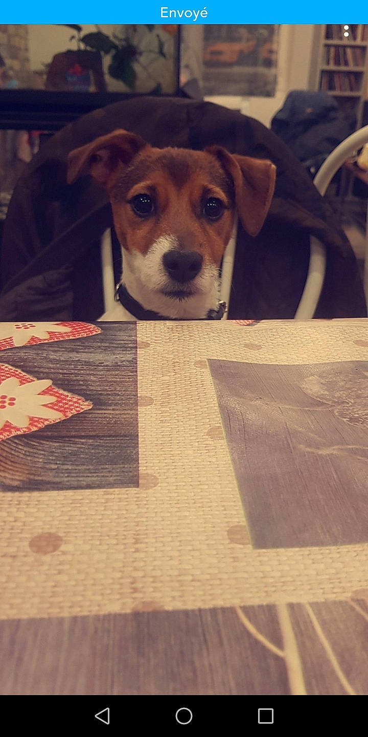 Oréo participe au concours pour gagner de l'argent avec cette photo :