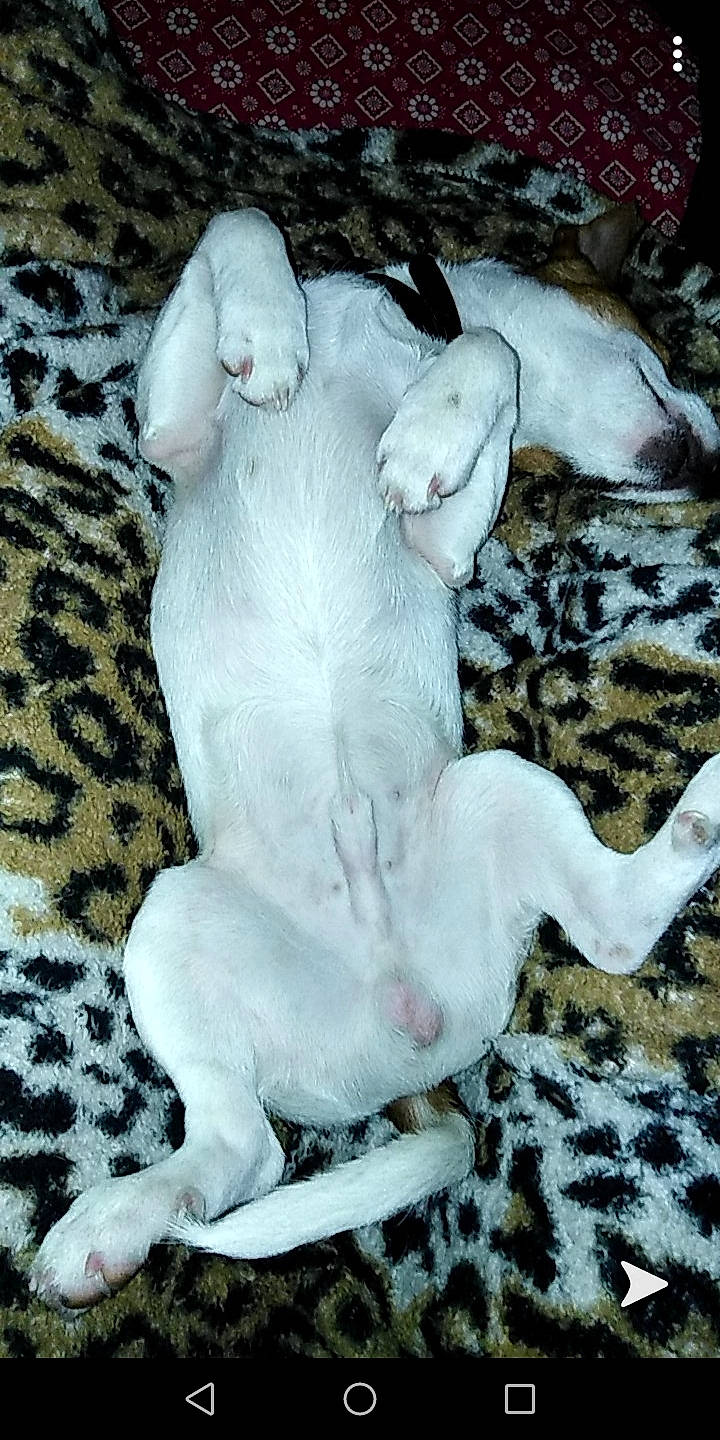 Oréo a rejoint le concours — aidez-le/la à gagner de superbes lots !