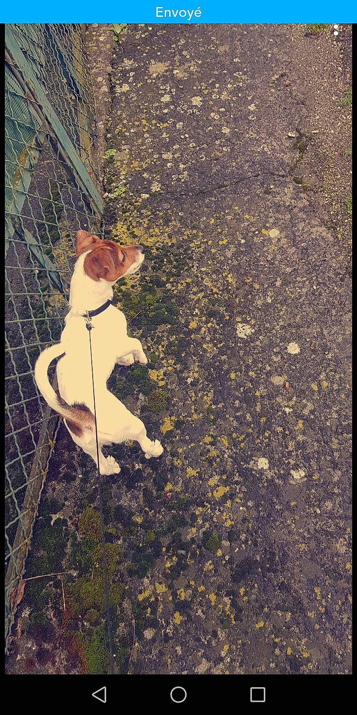 Oréo participe au concours pour gagner de l'argent avec cette photo :