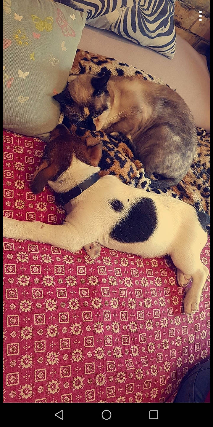 Oréo participe au concours pour gagner de l'argent avec cette photo :