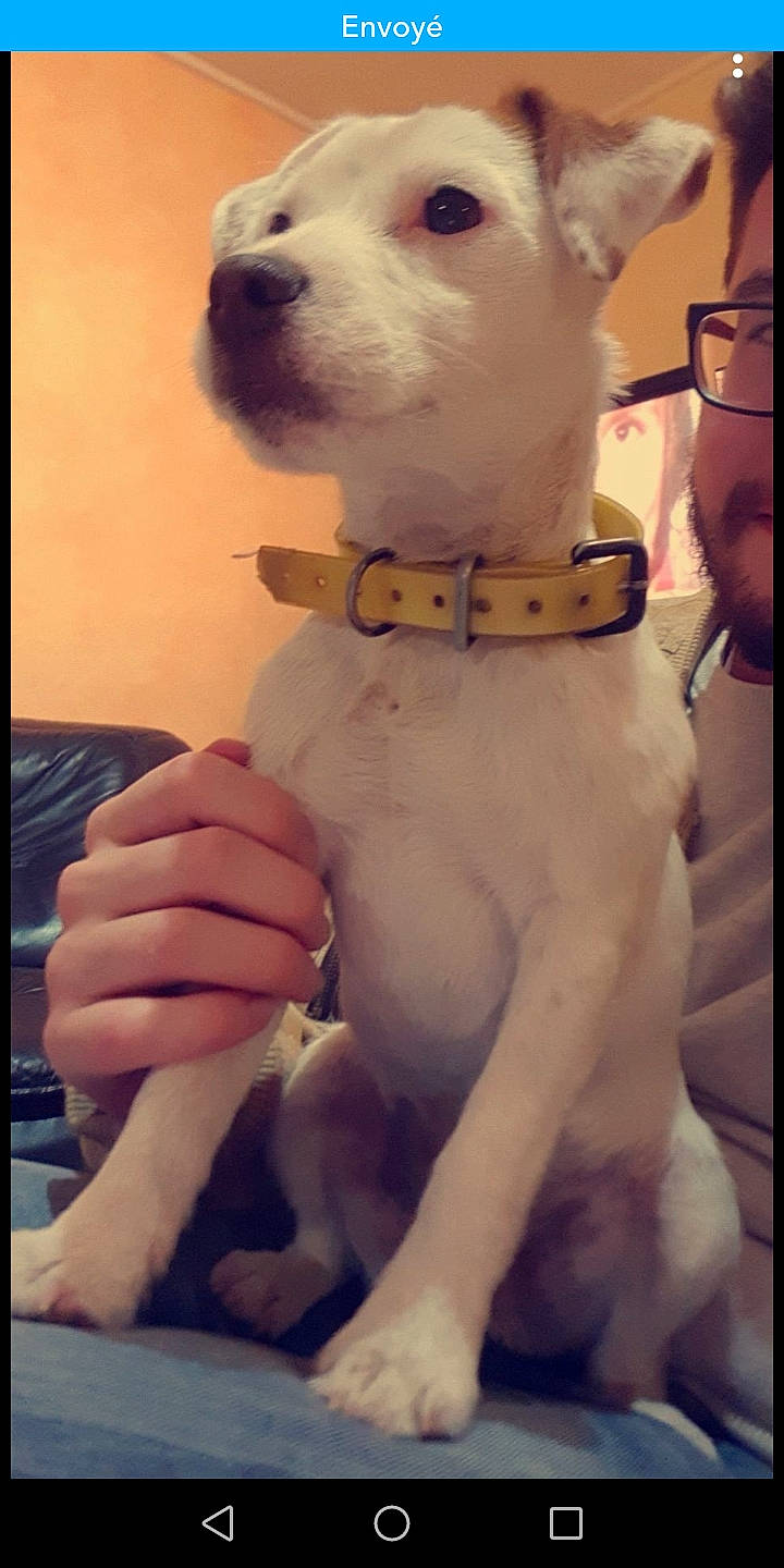 Hopopop participe au concours pour gagner de l'argent avec cette photo :