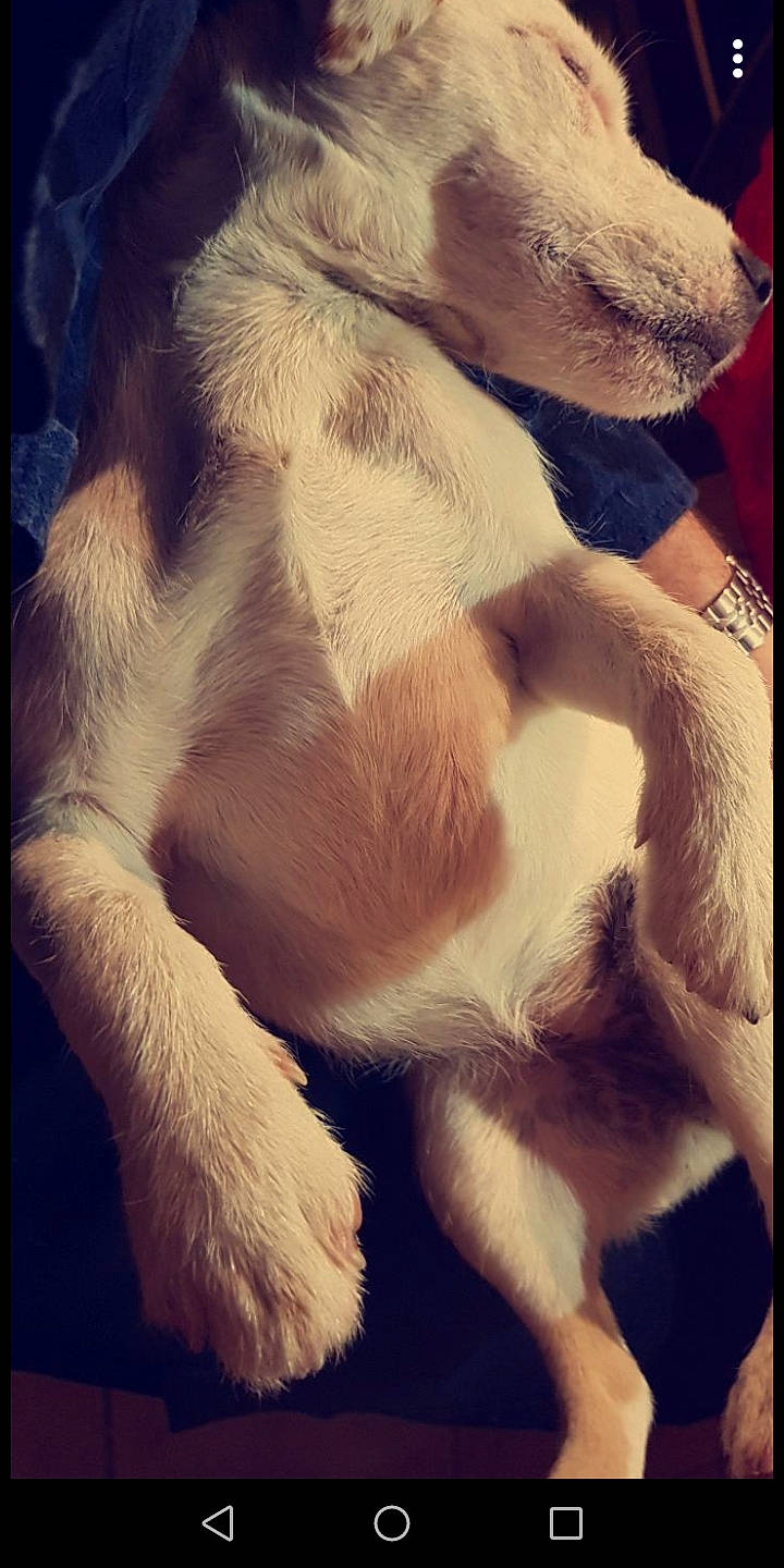 Hopopop a rejoint le concours — aidez-le/la à gagner de superbes lots !