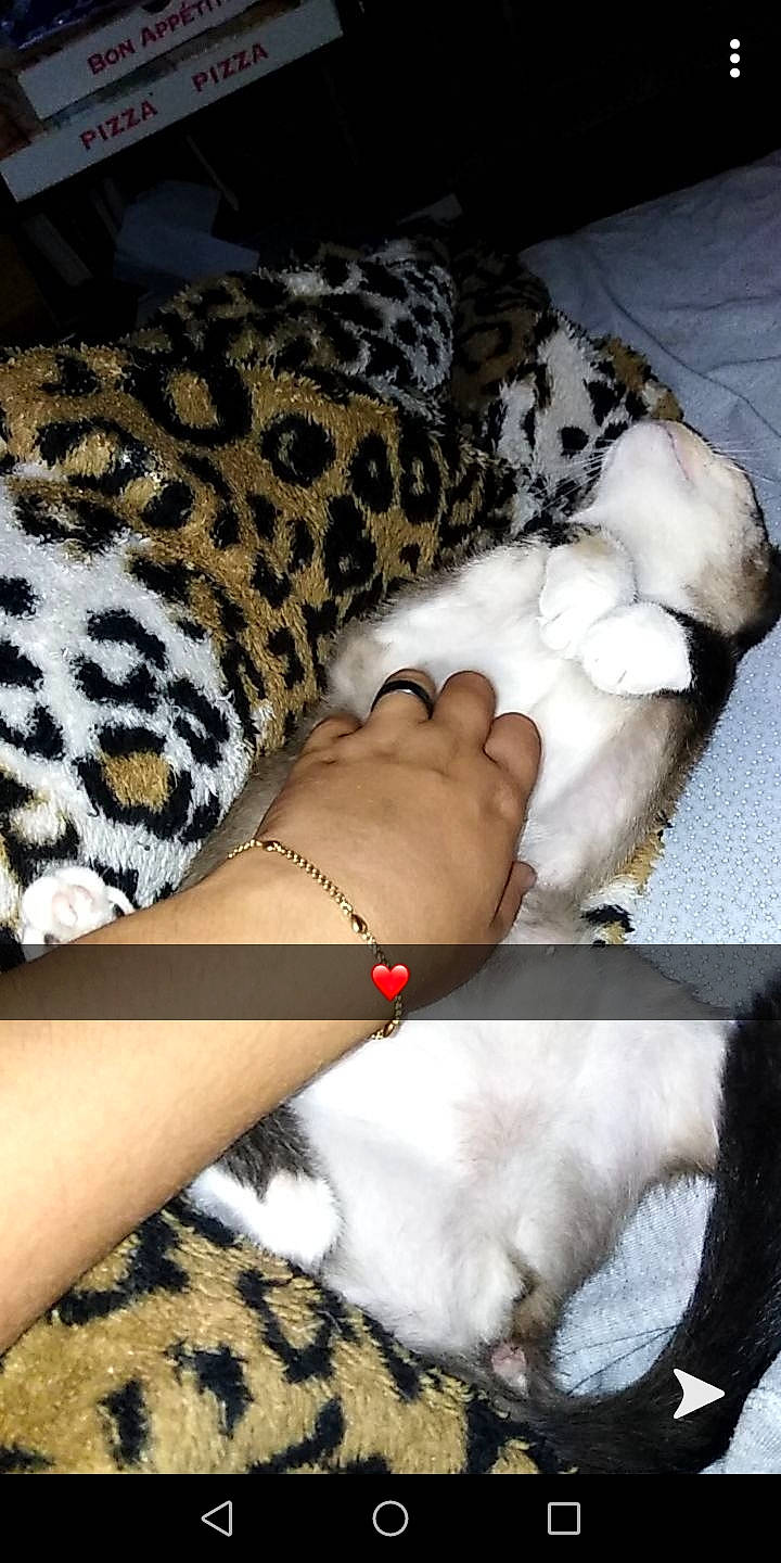 Milka a rejoint le concours — aidez-le/la à gagner de superbes lots !