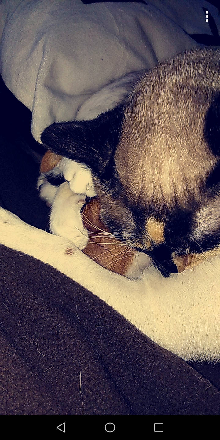 Milka a rejoint le concours — aidez-le/la à gagner de superbes lots !