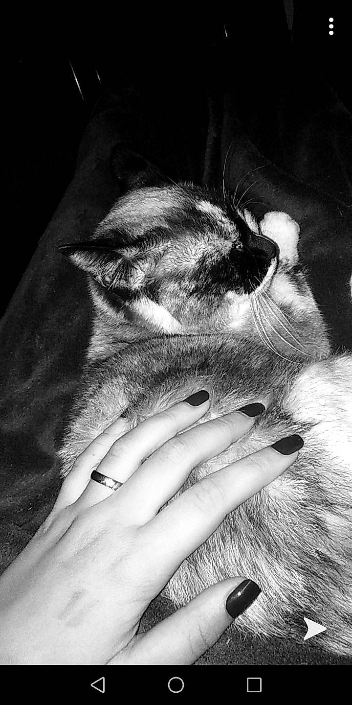 Milka participe au concours pour gagner de l'argent avec cette photo :