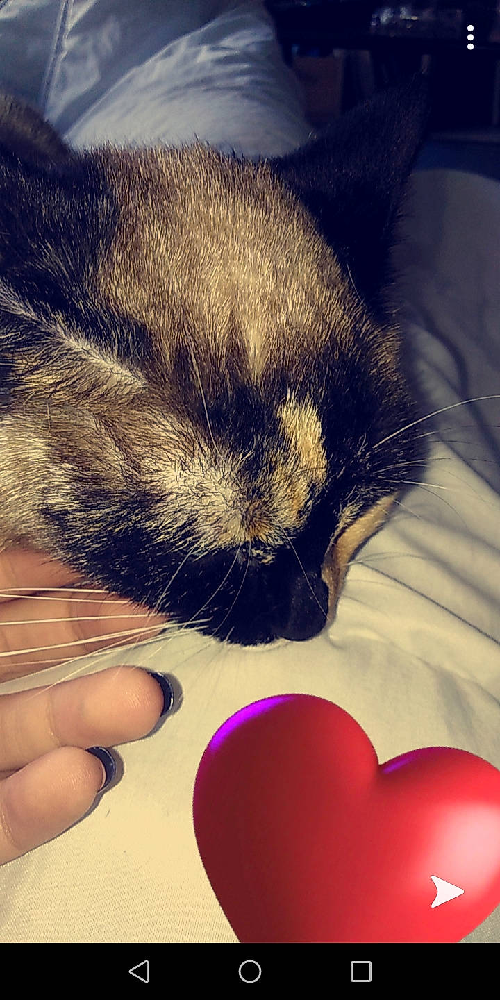 Milka a rejoint le concours — aidez-le/la à gagner de superbes lots !