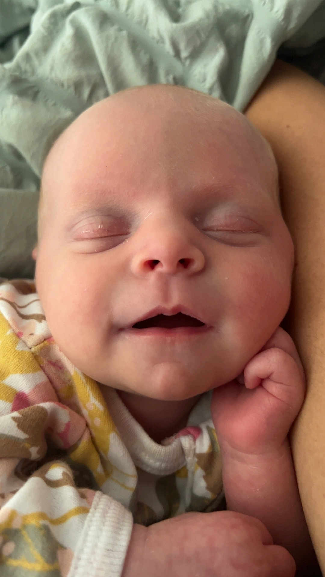 Oaklee