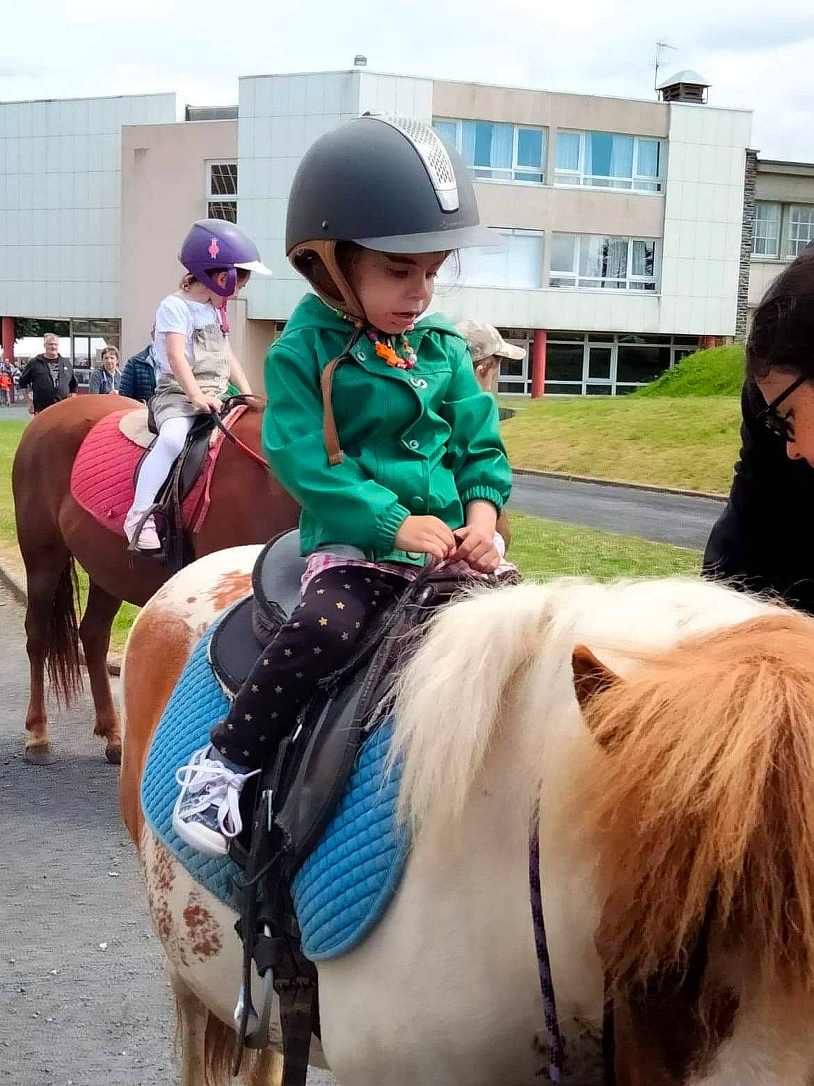 Yrina a rejoint le concours — aidez-le/la à gagner de superbes lots ! bit, bridle, cloud, english_riding, equestrian_helmet, equestrian_sport, equestrianism, halter, headgear, headwear, helmet, horse, horse_supplies, horse_tack, mammal, mane, outdoor_recreation, person, saddle, sky